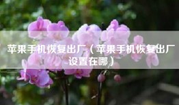 苹果手机恢复出厂（苹果手机恢复出厂设置在哪）