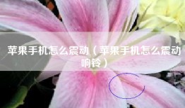 苹果手机怎么震动（苹果手机怎么震动响铃）