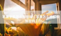 苹果手机怎么加密码（苹果怎么给软件加密码）