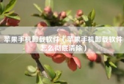 苹果手机卸载软件（苹果手机卸载软件怎么彻底清除）