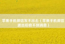 苹果手机微信发不出去（苹果手机微信退出后收不到消息）