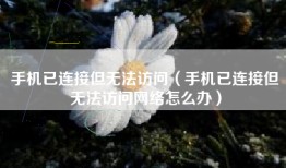 手机已连接但无法访问（手机已连接但无法访问网络怎么办）