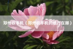 郑州收手机（郑州收手机的地方在哪）