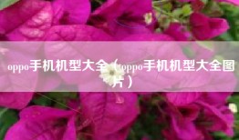 oppo手机机型大全（oppo手机机型大全图片）