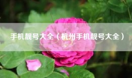 手机靓号大全（杭州手机靓号大全）