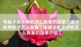 电销手机卡停机怎么恢复的简单介绍手机停机了怎么恢复「电销手机卡停机怎么恢复的简单介绍」