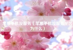 苹果手机没服务（苹果手机没服务是因为什么）