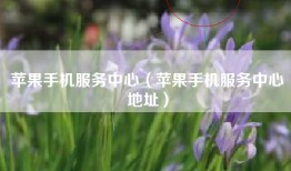 苹果手机服务中心（苹果手机服务中心地址）