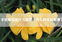 手机解锁是什么意思（什么叫手机解锁）