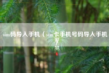 sim码导入手机（sim卡手机号码导入手机）