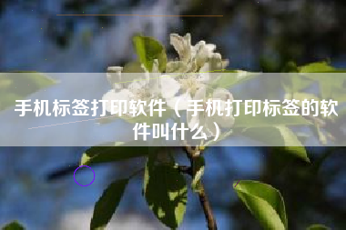 手机标签打印软件（手机打印标签的软件叫什么）