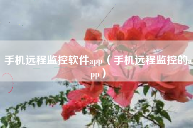 手机远程监控软件app(手机远程监控的app) 手机远程监控软件app(手机远程监控的app)