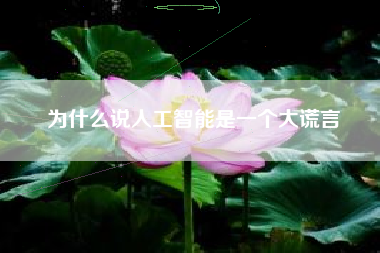 为什么说人工智能是一个大谎言